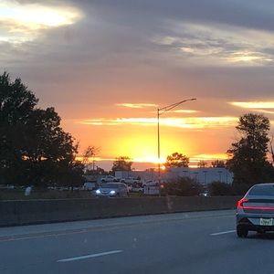 Meet your Posher, Anya